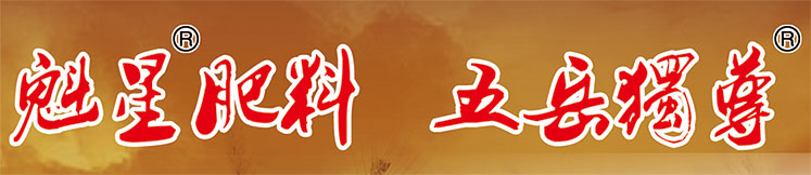 山東魁星肥業(yè)有限公司,魁星肥業(yè),魁星,魁星黑酵母,山東魁星肥業(yè)